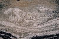 Pélites et siltites