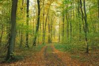 Qu’est-ce qu’un écosystème ?  