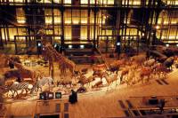 Qu’est-ce que la biodiversité ?  