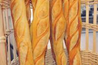 Que nous apportent les aliments ?  